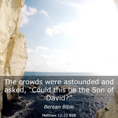 Picture 03 - Matthew 12:23 BSB - The crowds were astounded and asked, “Could - Bible Verse Picture