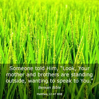Picture 03 - Matthew 12:47 BSB - Someone told Him, “Look, Your mother and - Bible Verse Picture