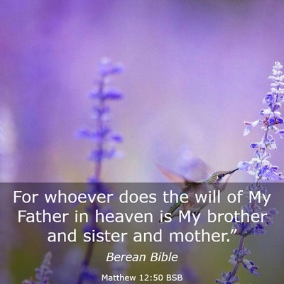 Picture 03 - Matthew 12:50 BSB - For whoever does the will of My Father in heaven - Bible Verse Picture