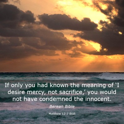 Picture 03 - Matthew 12:7 BSB - If only you had known the meaning of ‘I desire - Bible Verse Picture