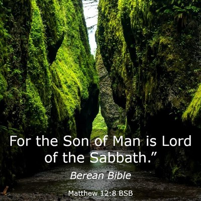 Picture 03 - Matthew 12:8 BSB - For the Son of Man is Lord of the - Bible Verse Picture