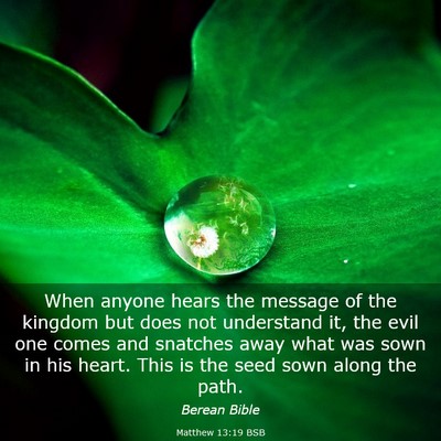 Picture 03 - Matthew 13:19 BSB - When anyone hears the message of the kingdom but - Bible Verse Picture