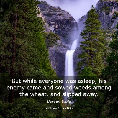 Picture 03 - Matthew 13:25 BSB - But while everyone was asleep, his enemy came and - Bible Verse Picture