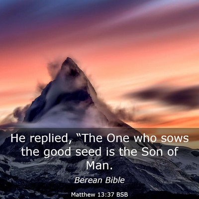 Picture 03 - Matthew 13:37 BSB - He replied, “The One who sows the good seed is - Bible Verse Picture
