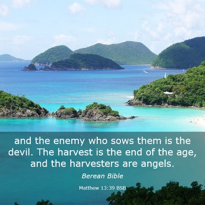 Picture 03 - Matthew 13:39 BSB - and the enemy who sows them is the devil. The - Bible Verse Picture