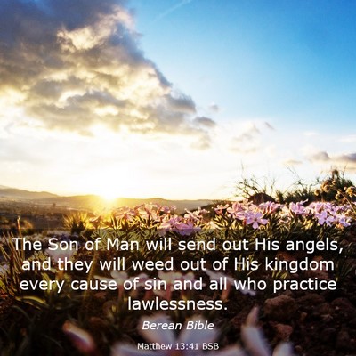 Picture 03 - Matthew 13:41 BSB - The Son of Man will send out His angels, and they - Bible Verse Picture