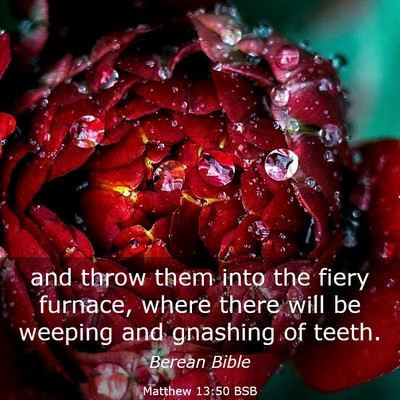 Picture 03 - Matthew 13:50 BSB - and throw them into the fiery furnace, where - Bible Verse Picture