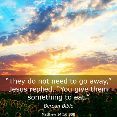 Picture 03 - Matthew 14:16 BSB - “They do not need to go away,” Jesus replied. - Bible Verse Picture