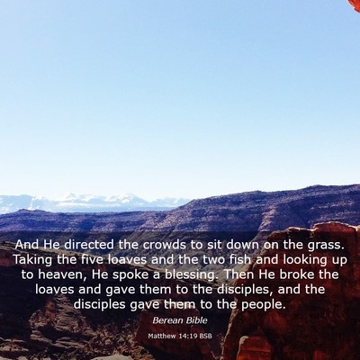 Picture 03 - Matthew 14:19 BSB - And He directed the crowds to sit down on the - Bible Verse Picture