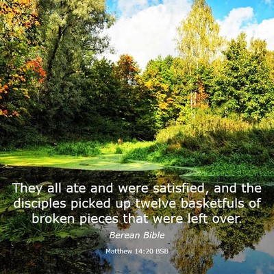 Picture 03 - Matthew 14:20 BSB - They all ate and were satisfied, and the - Bible Verse Picture
