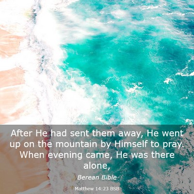 Picture 03 - Matthew 14:23 BSB - After He had sent them away, He went up on the - Bible Verse Picture