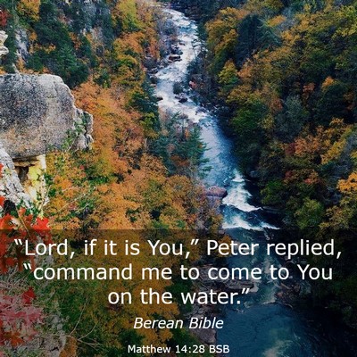 Picture 03 - Matthew 14:28 BSB - “Lord, if it is You,” Peter replied, - Bible Verse Picture