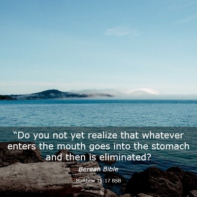 Picture 03 - Matthew 15:17 BSB - “Do you not yet realize that whatever enters - Bible Verse Picture