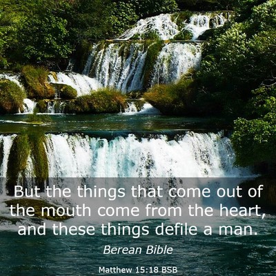 Picture 03 - Matthew 15:18 BSB - But the things that come out of the mouth come - Bible Verse Picture