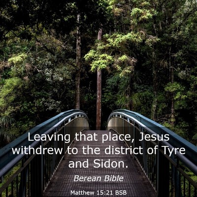 Picture 03 - Matthew 15:21 BSB - Leaving that place, Jesus withdrew to the - Bible Verse Picture