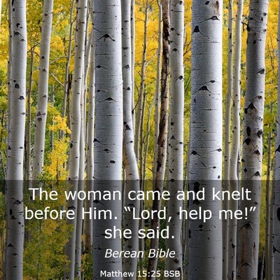 Picture 03 - Matthew 15:25 BSB - The woman came and knelt before Him. “Lord, - Bible Verse Picture