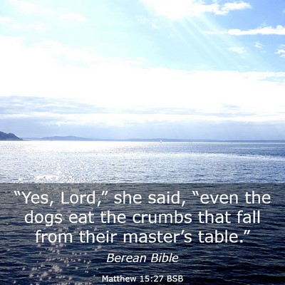 Picture 03 - Matthew 15:27 BSB - “Yes, Lord,” she said, “even the dogs eat - Bible Verse Picture