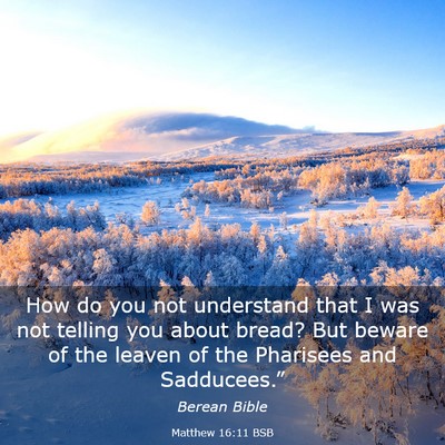 Picture 03 - Matthew 16:11 BSB - How do you not understand that I was not telling - Bible Verse Picture