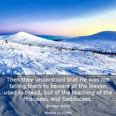 Picture 03 - Matthew 16:12 BSB - Then they understood that He was not telling them - Bible Verse Picture