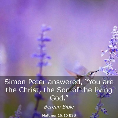 Picture 03 - Matthew 16:16 BSB - Simon Peter answered, “You are the Christ, the - Bible Verse Picture