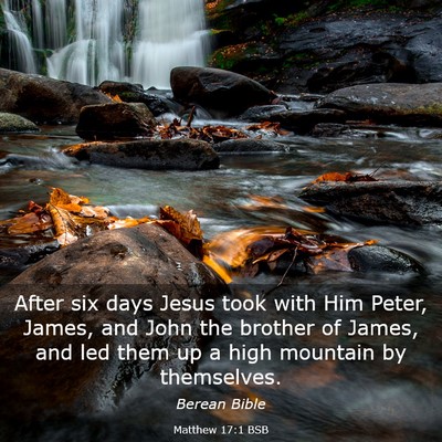Picture 03 - Matthew 17:1 BSB - After six days Jesus took with Him Peter, James, - Bible Verse Picture