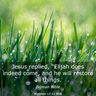 Picture 03 - Matthew 17:11 BSB - Jesus replied, “Elijah does indeed come, and he - Bible Verse Picture