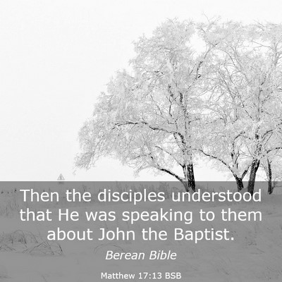 Picture 03 - Matthew 17:13 BSB - Then the disciples understood that He was - Bible Verse Picture