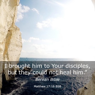 Picture 03 - Matthew 17:16 BSB - I brought him to Your disciples, but they could - Bible Verse Picture
