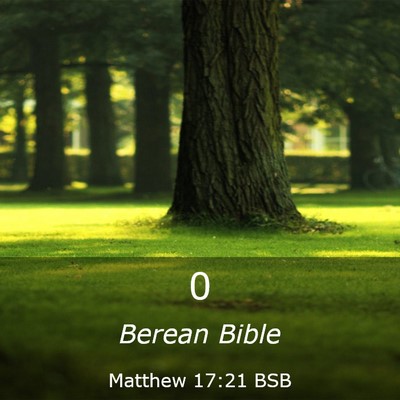 Picture 03 - Matthew 17:21 BSB -  - Bible Verse Picture