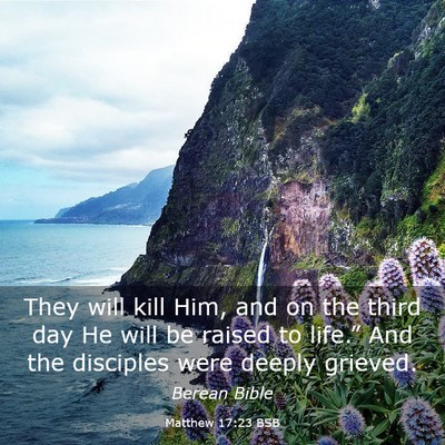 Picture 03 - Matthew 17:23 BSB - They will kill Him, and on the third day He will - Bible Verse Picture