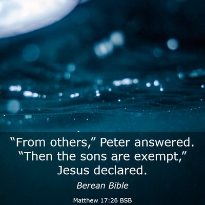 Picture 03 - Matthew 17:26 BSB - “From others,” Peter answered. “Then the - Bible Verse Picture