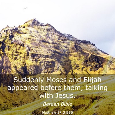 Picture 03 - Matthew 17:3 BSB - Suddenly Moses and Elijah appeared before them, - Bible Verse Picture
