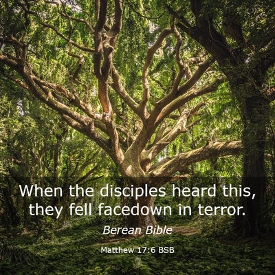 Picture 03 - Matthew 17:6 BSB - When the disciples heard this, they fell facedown - Bible Verse Picture