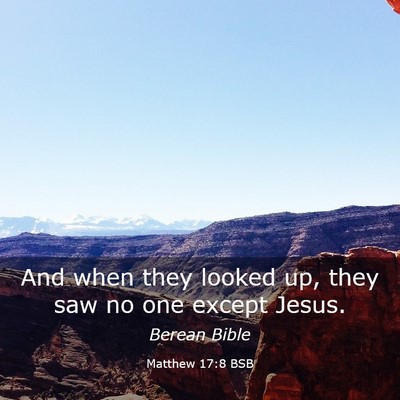 Picture 03 - Matthew 17:8 BSB - And when they looked up, they saw no one except - Bible Verse Picture