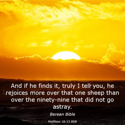 Picture 03 - Matthew 18:13 BSB - And if he finds it, truly I tell you, he rejoices - Bible Verse Picture