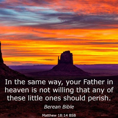 Picture 03 - Matthew 18:14 BSB - In the same way, your Father in heaven is not - Bible Verse Picture