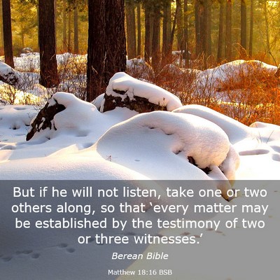 Picture 03 - Matthew 18:16 BSB - But if he will not listen, take one or two others - Bible Verse Picture
