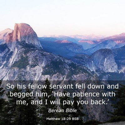 Picture 03 - Matthew 18:29 BSB - So his fellow servant fell down and begged him, - Bible Verse Picture