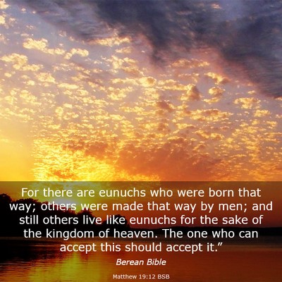 Picture 03 - Matthew 19:12 BSB - For there are eunuchs who were born that way; - Bible Verse Picture