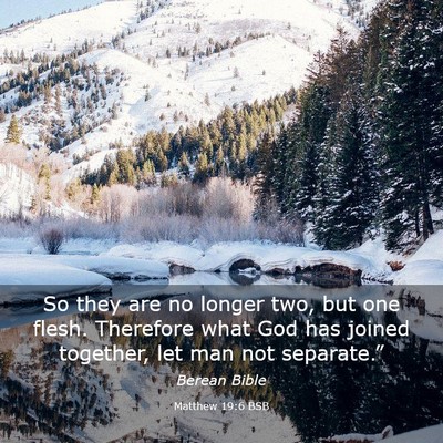 Picture 03 - Matthew 19:6 BSB - So they are no longer two, but one flesh. - Bible Verse Picture