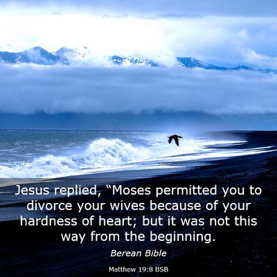 Picture 03 - Matthew 19:8 BSB - Jesus replied, “Moses permitted you to divorce - Bible Verse Picture