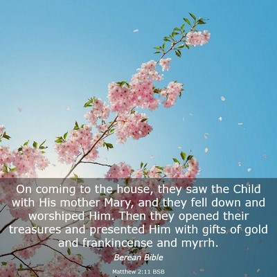 Picture 03 - Matthew 2:11 BSB - On coming to the house, they saw the Child with - Bible Verse Picture