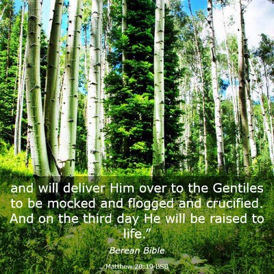 Picture 03 - Matthew 20:19 BSB - and will deliver Him over to the Gentiles to be - Bible Verse Picture