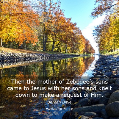 Picture 03 - Matthew 20:20 BSB - Then the mother of Zebedee’s sons came to Jesus - Bible Verse Picture