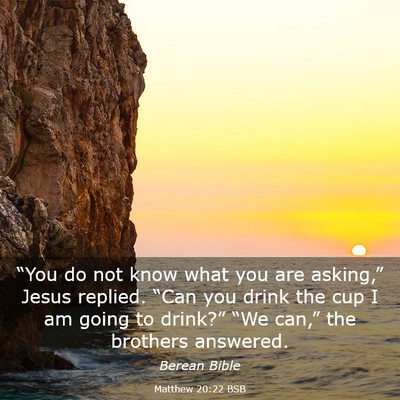 Picture 03 - Matthew 20:22 BSB - “You do not know what you are asking,” Jesus - Bible Verse Picture