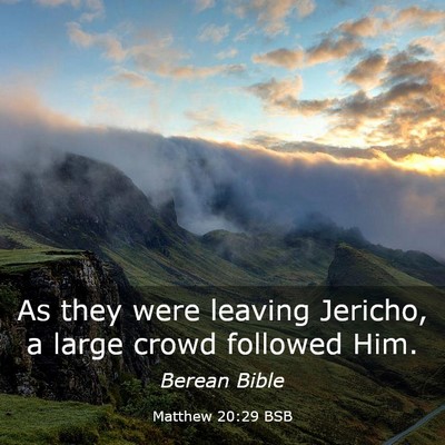 Picture 03 - Matthew 20:29 BSB - As they were leaving Jericho, a large crowd - Bible Verse Picture