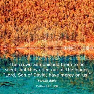 Picture 03 - Matthew 20:31 BSB - The crowd admonished them to be silent, but they - Bible Verse Picture