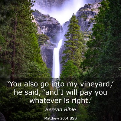 Picture 03 - Matthew 20:4 BSB - ‘You also go into my vineyard,’ he said, - Bible Verse Picture