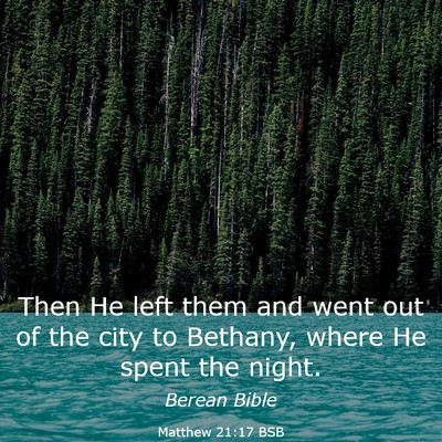 Picture 03 - Matthew 21:17 BSB - Then He left them and went out of the city to - Bible Verse Picture