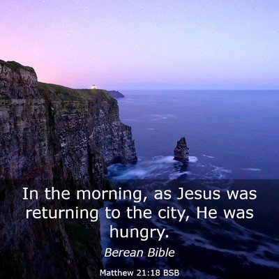 Picture 03 - Matthew 21:18 BSB - In the morning, as Jesus was returning to the - Bible Verse Picture